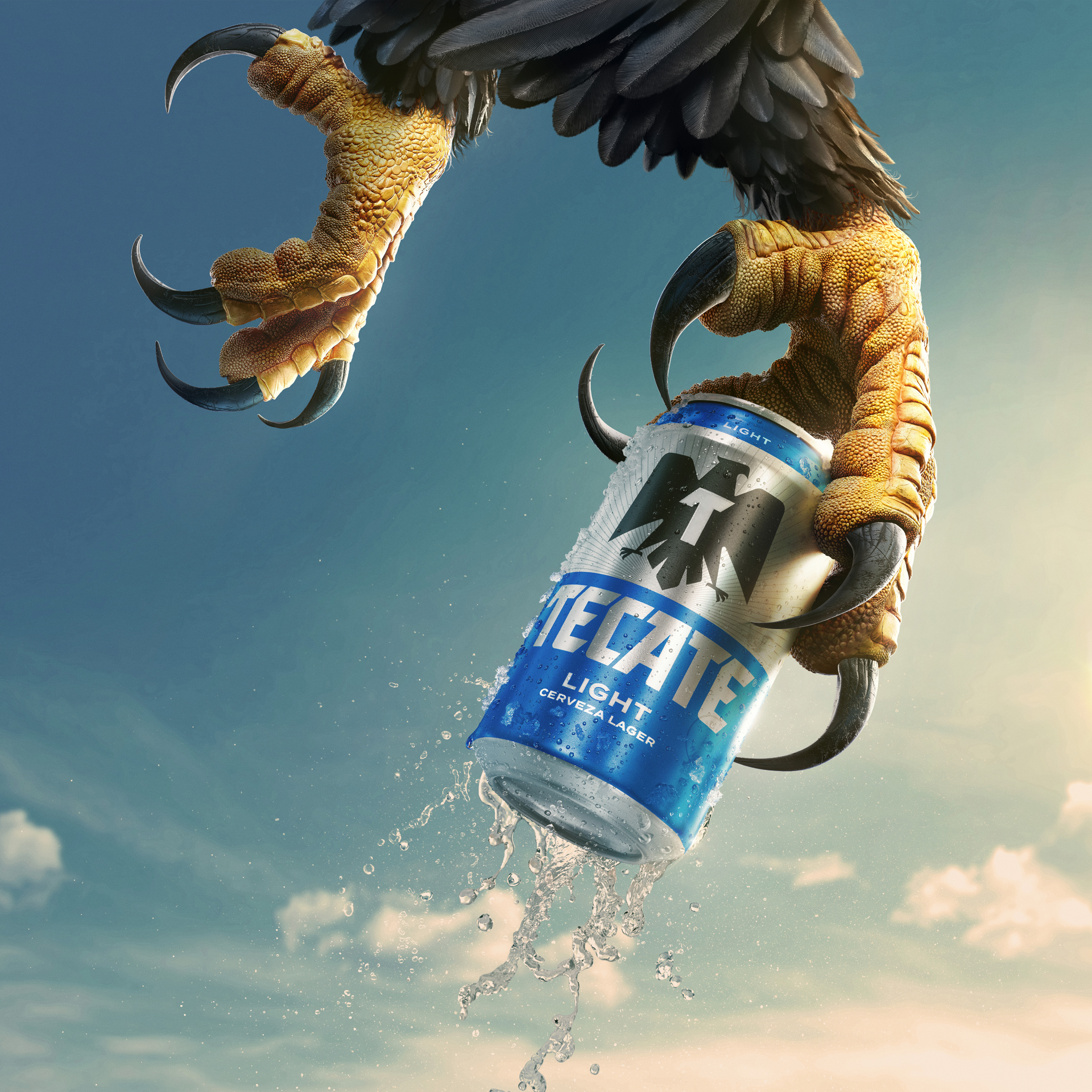 Garra_Laton_12oz_blue_Color_