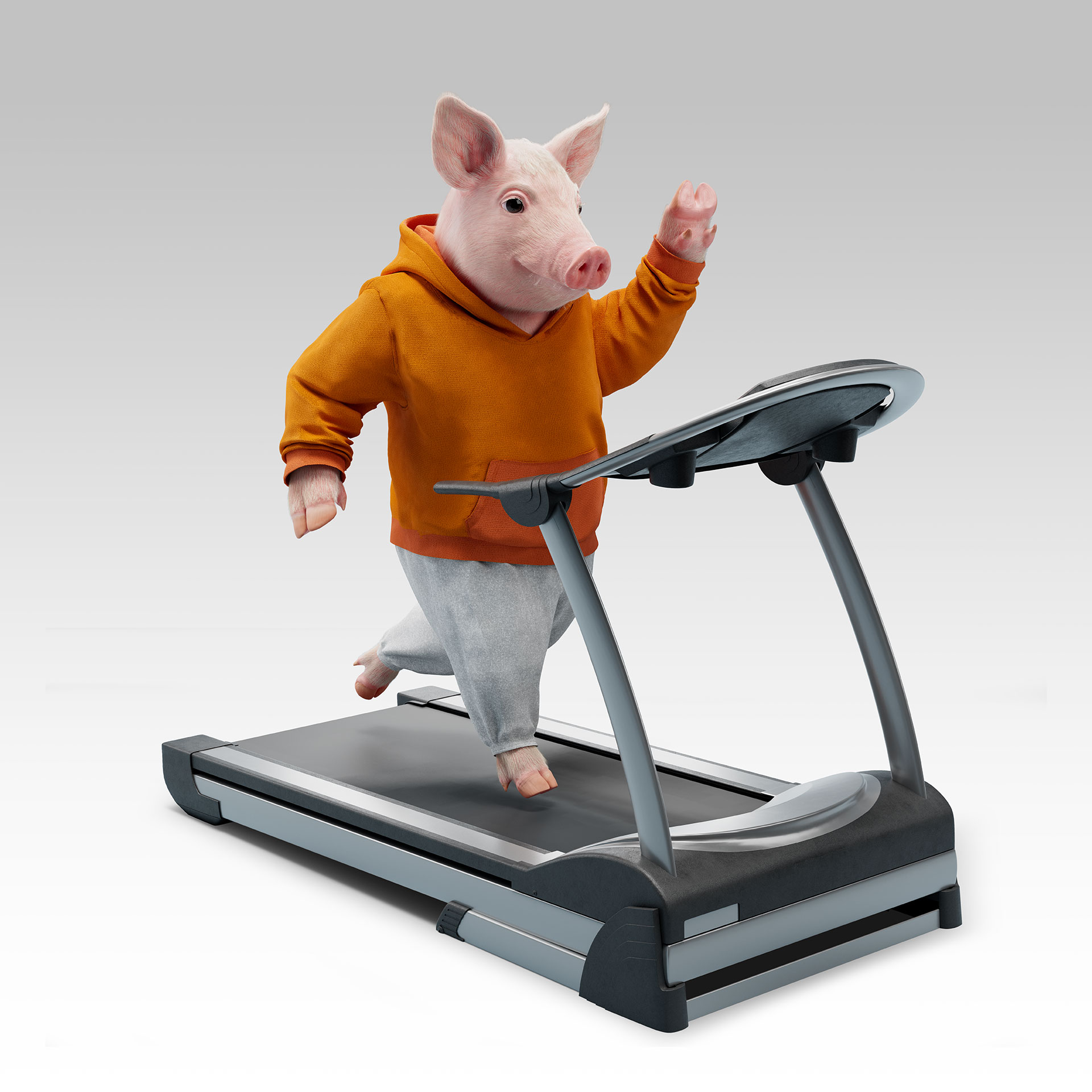 cerditofit