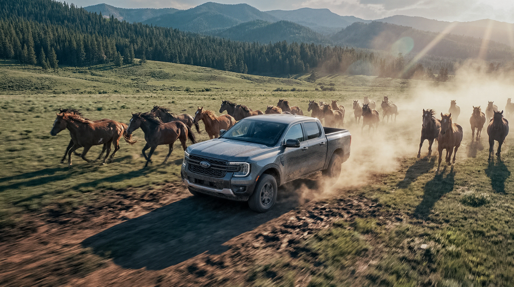 01_Ford 01_Ford