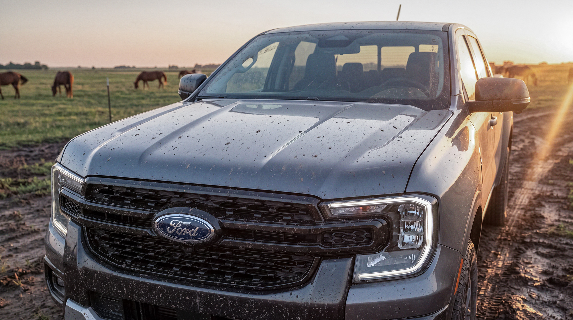 06_Ford 06_Ford